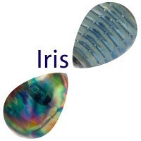Lamp glass - lamp rods / iris