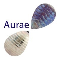 Lamp glass - lamp rods / aurae