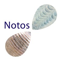 Lamp glass - lamp rods / notos