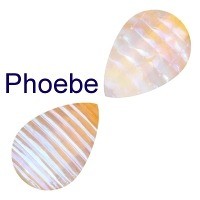 Lamp glass - lamp rods / phoebe